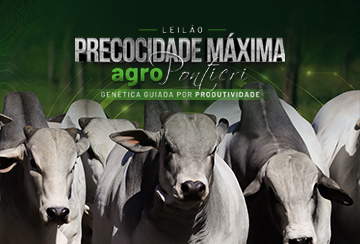 LEILÃO PRECOCIDADE MÁXIMA AGRO PONTIERI